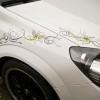 Pinstriping Scrolling Flowers